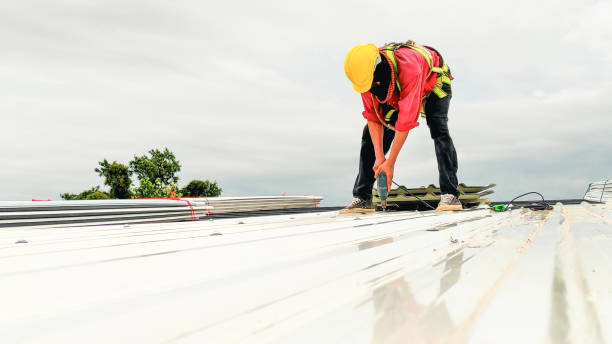 Best Emergency Roof Repair Services  in Elmo, TX